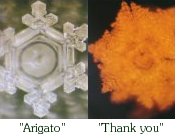 Cristales de agua con arigato and thankyou 